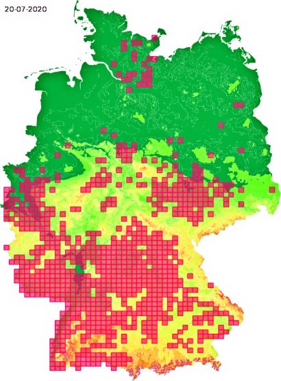 Verbreitung der Sichelschrecke Phaneroptera falcata